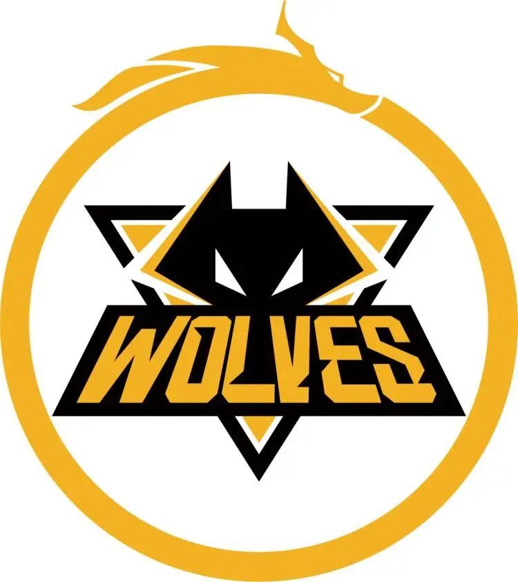 骗子利用 NiKo 的名字和深度伪造技术在YouTube上进行诈骗